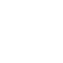 Custom CRM Solutions icon