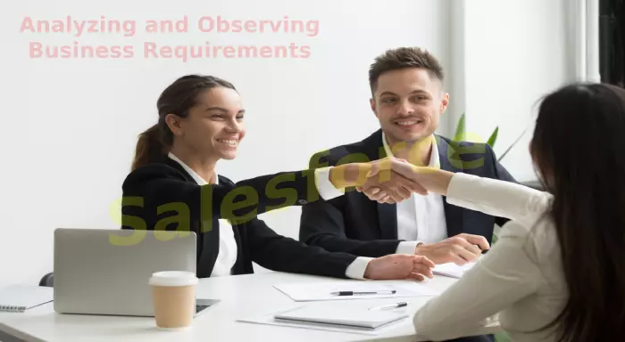 Analyzing and observing business requirements