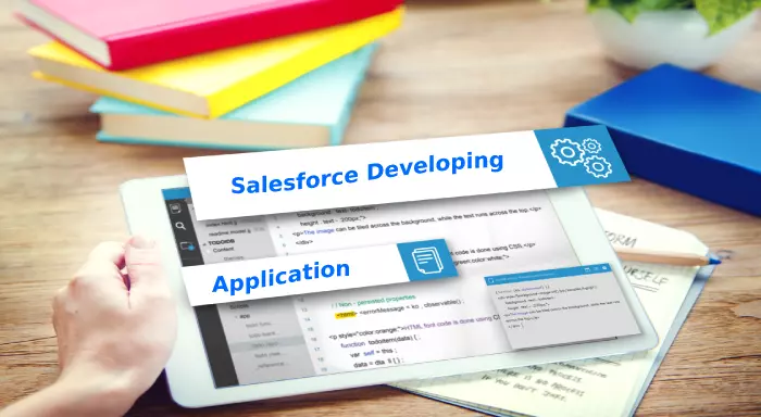 Developing a Salesforce