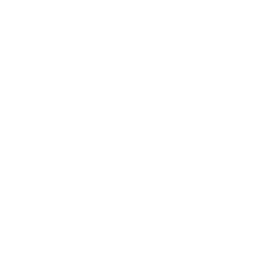 Limited Data Visibility Icon