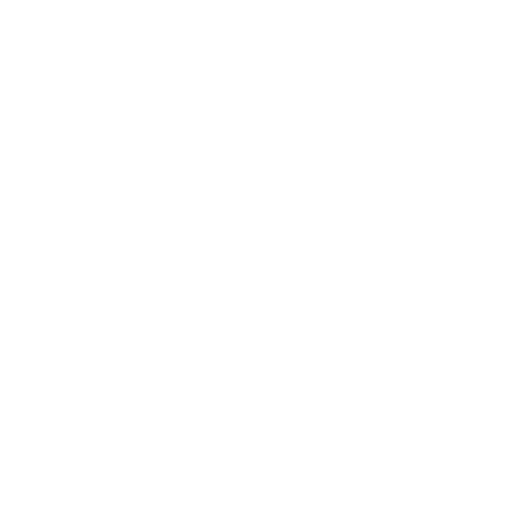 Limited Data Access Icon