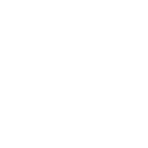Duplicate Data Entry Icon