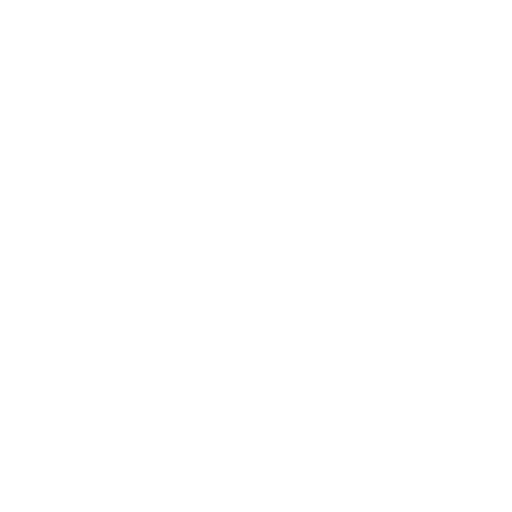 Solution Icon