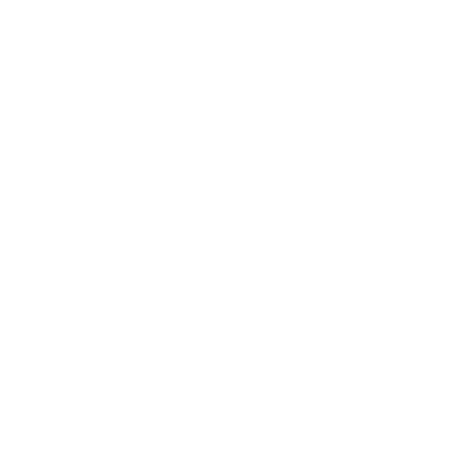 Duplicate Data Entry Icon