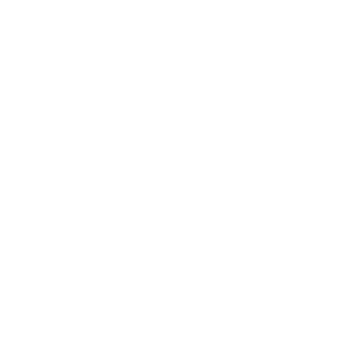 Custom Development