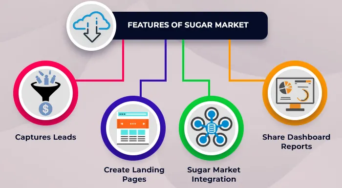 Features of Sugar Market