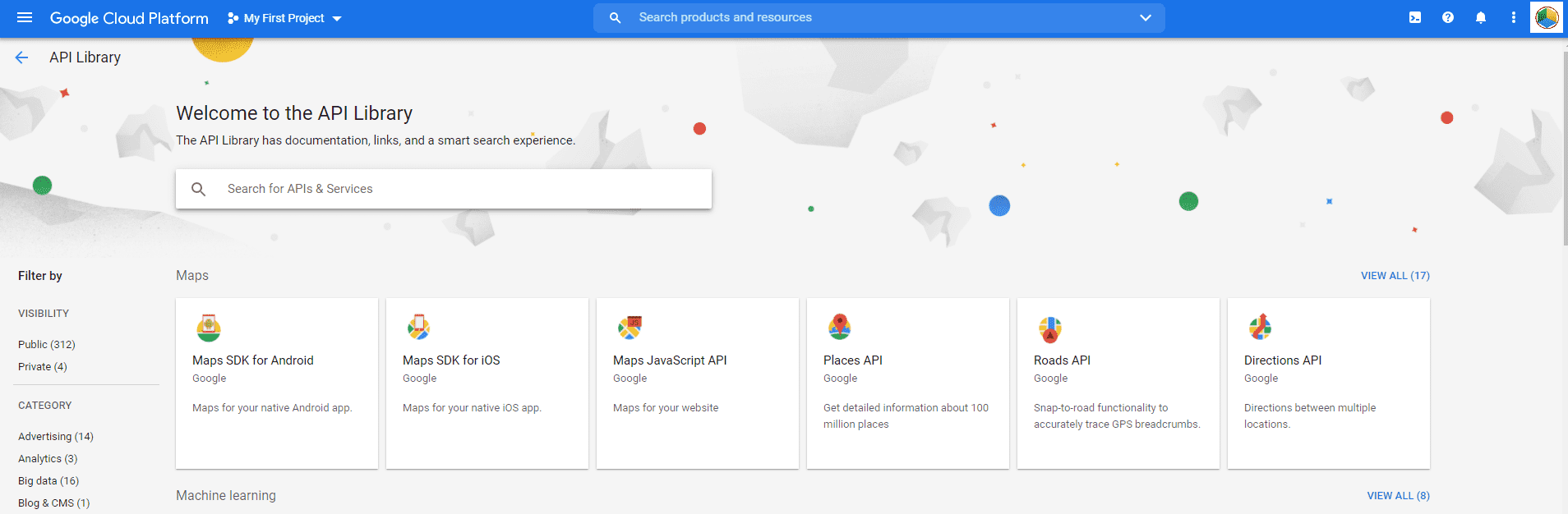 Google API Services