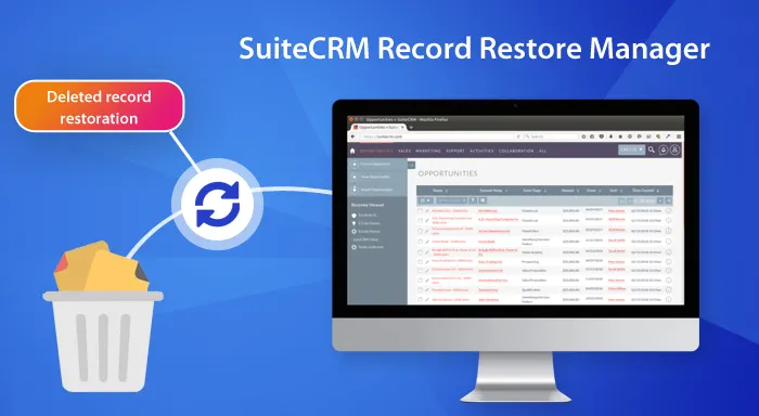 Record restore manager