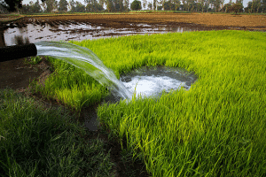 Advanced Technology for Sustainable Farming