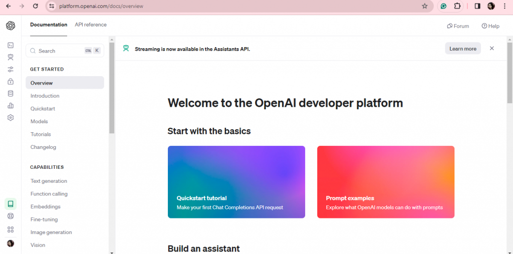 Open AI developer platform