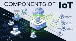 Components of IoT