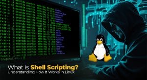 Shell Scripting