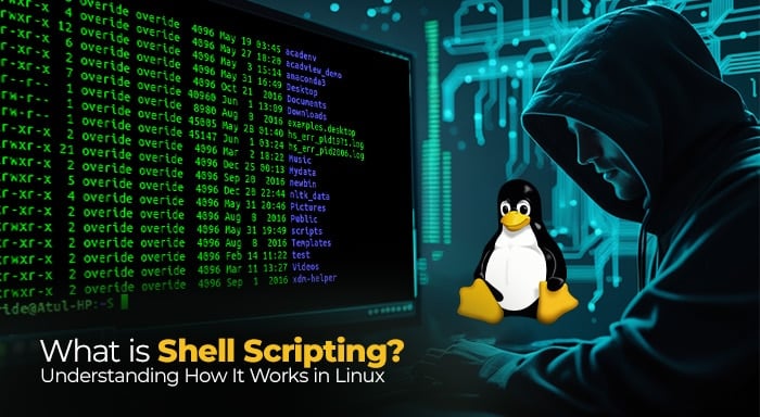 What Is Shell Scripting