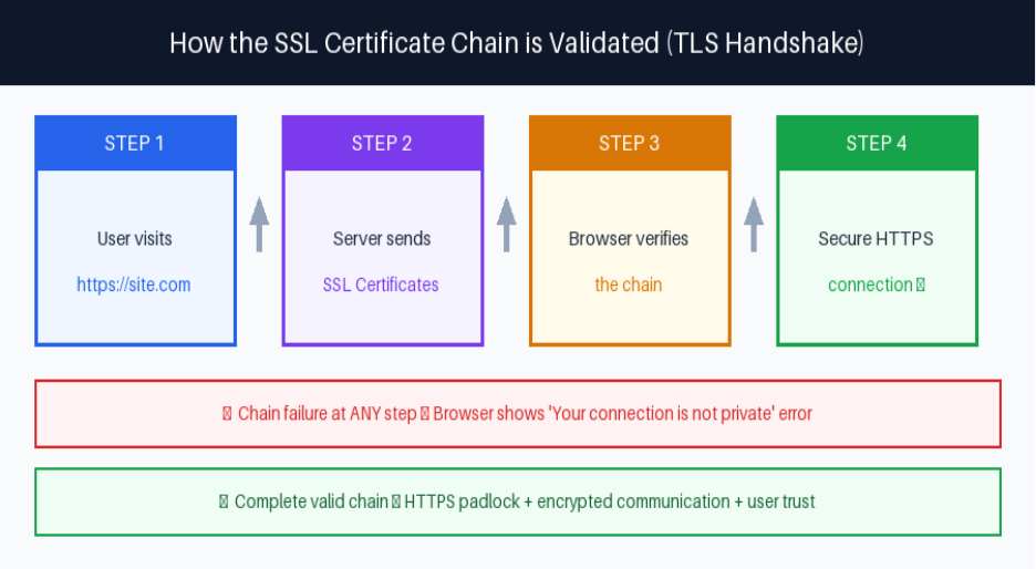 How an SSL Certificate Chain Operates