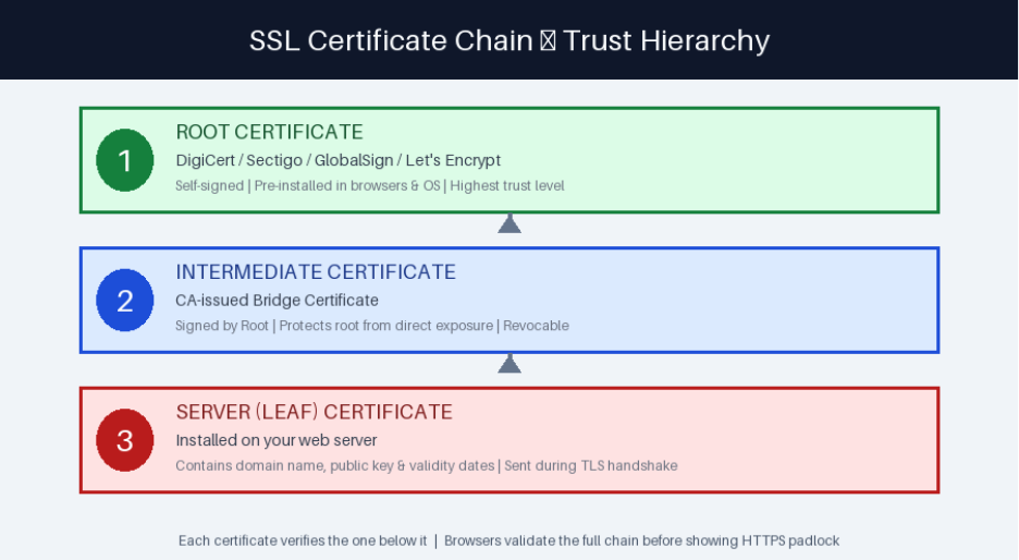 SSL Certificate Chain Trust Hierarchy